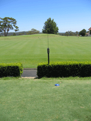 Safe Tee Play Reciever